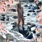 Profile (sandysprague41)