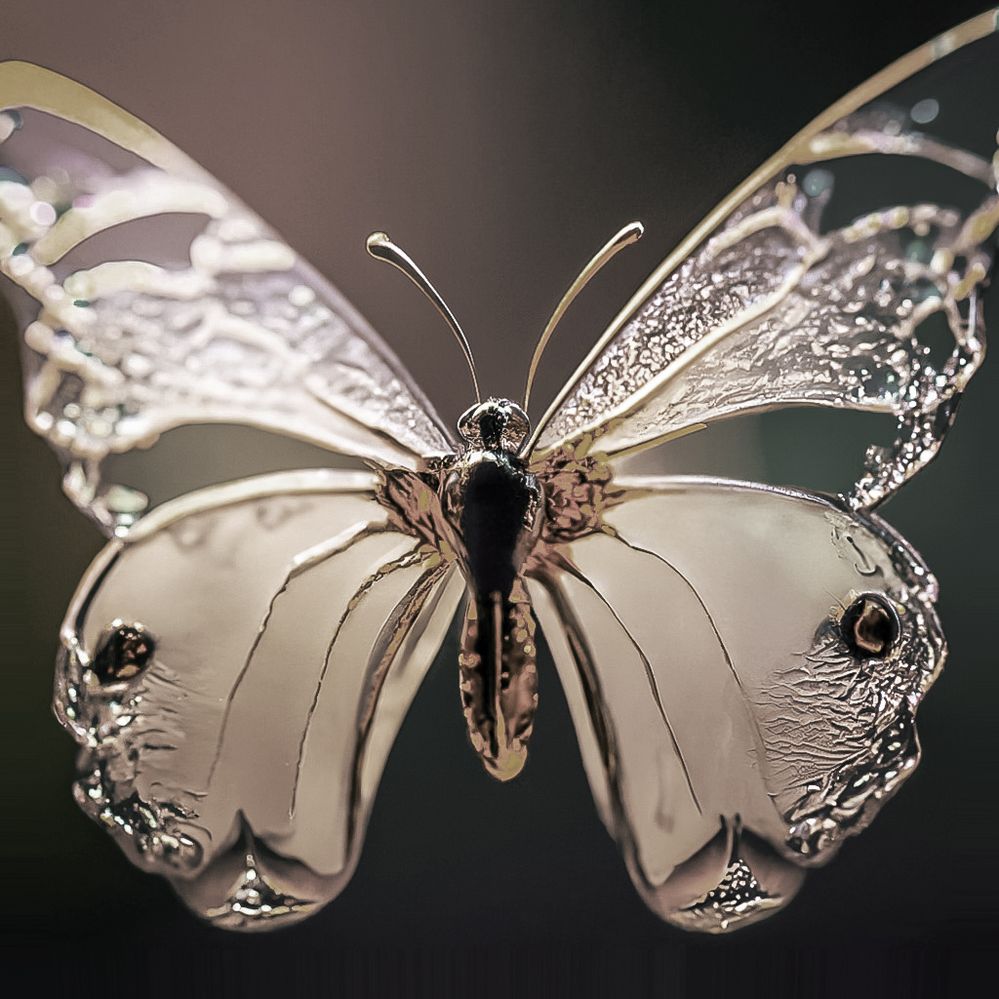 Glass Butterfly_BW.jpg