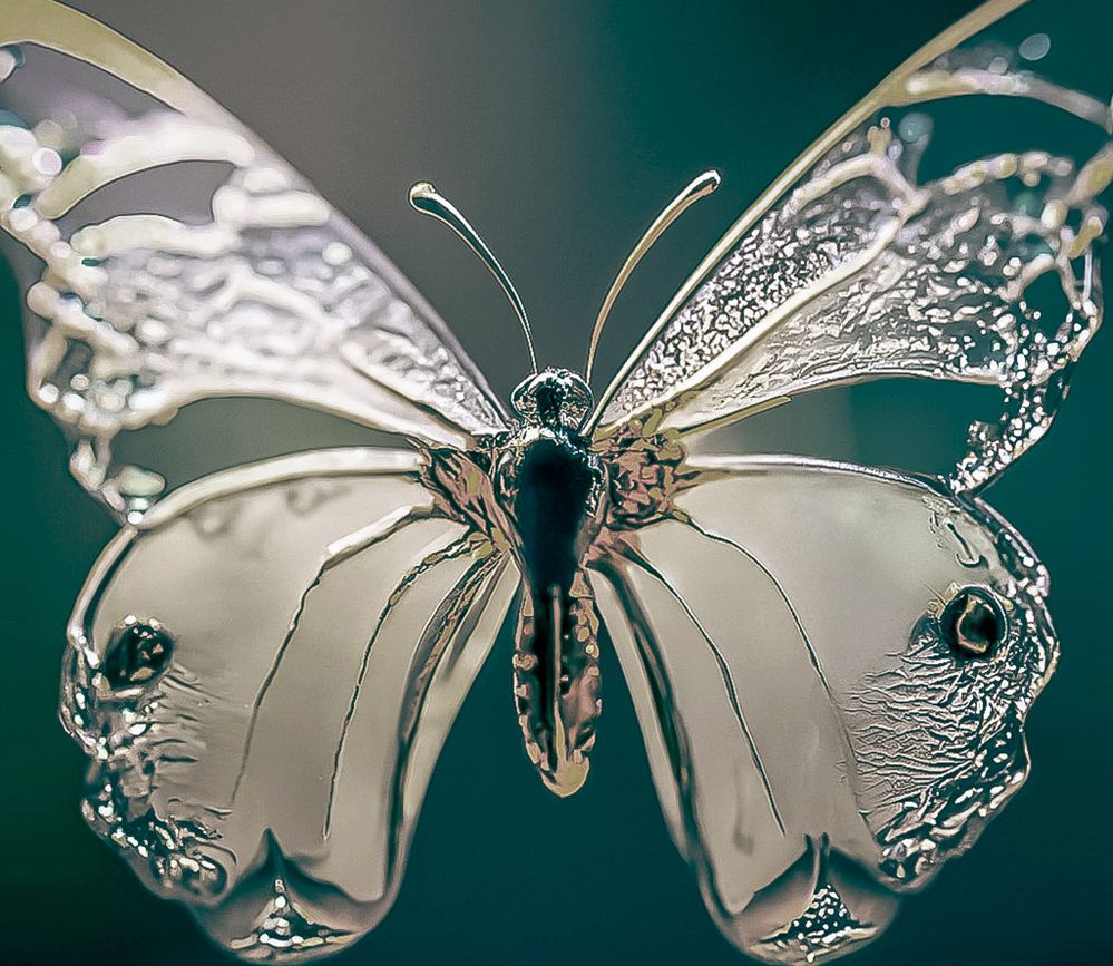 Glass Butterfly_Col.jpg