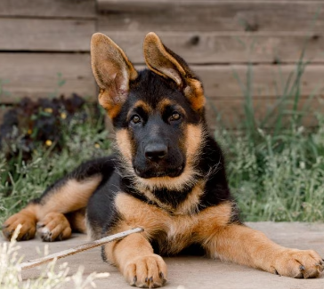 Screenshot 2023-12-08 10.35.04 AM.png