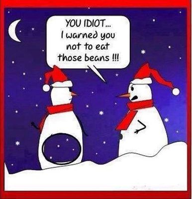 233e28a5201cdcc7cba61d213dcff5bf--christmas-humor-christmas-fun.jpg