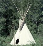 tipi-square.jpg