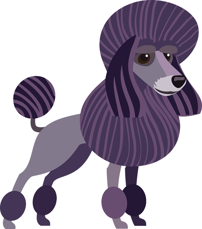 poodle.png