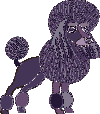 poodle.png