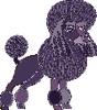 poodle.png