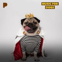 500W_500H (1).jpg 500W_500H (1).jpg