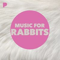 500W_500H (3).jpg 500W_500H (3).jpg