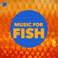 500W_500H (4).jpg 500W_500H (4).jpg