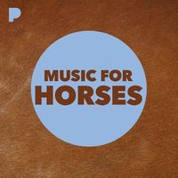 500W_500H (6).jpg 500W_500H (6).jpg