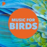 500W_500H (7).jpg 500W_500H (7).jpg