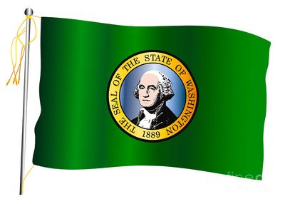 washington-state-waving-flag-and-flagpole-bigalbaloo-stock.jpg