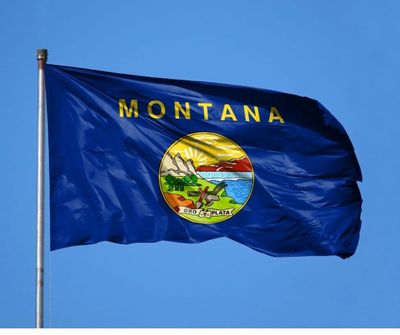 Montana-state-flag-768x644.jpg