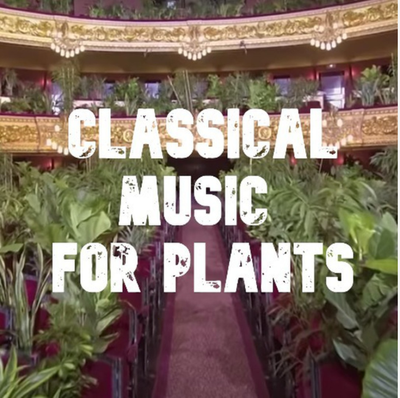 Screen Shot 2020-06-25 at 2.49.41 PM.png