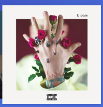 Screenshot 2024-05-21 10.29.27 AM.png