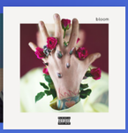 Screenshot 2024-05-21 10.29.27 AM.png