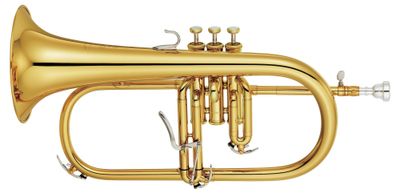 0_image.jpg 0_image.jpg