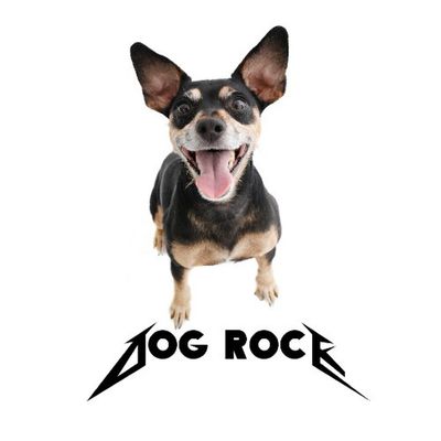 3_dog_rock.jpg