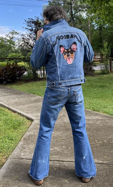 5_denim_dog_720.jpg