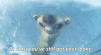 sid the sloth.gif