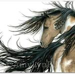 Profile (Bronco5150)