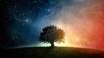 colorful starry night tree.jpeg