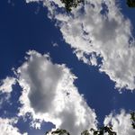 Profile (agiles1960)