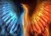 Phoenix_by_FleetingEmber.jpg