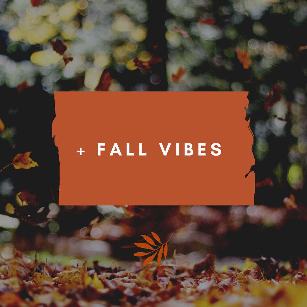 + Fall vibes.png