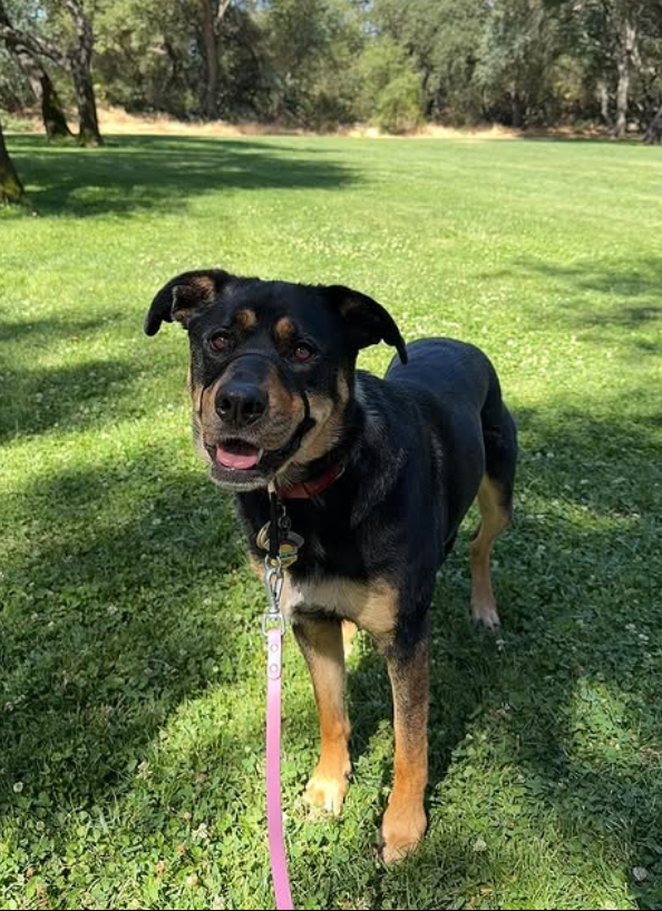 Screenshot 2025-08-26 at 3.08.13 PM.png