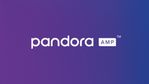 Pandora webinar.jpg