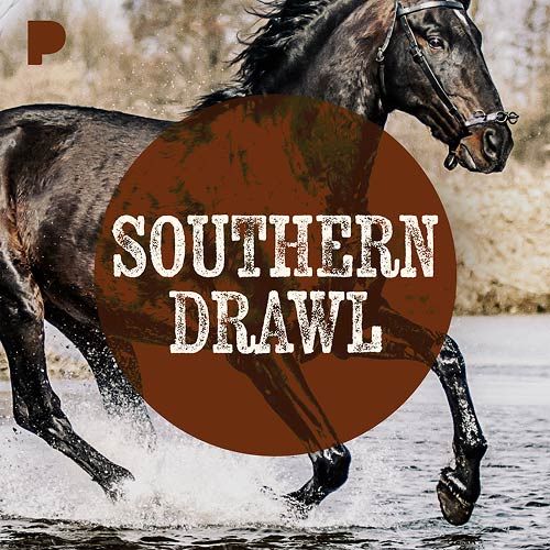 SouthernDrawl.jpg SouthernDrawl.jpg