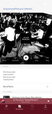 Song Removed from Collection.PNG