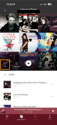 playlist edit.PNG