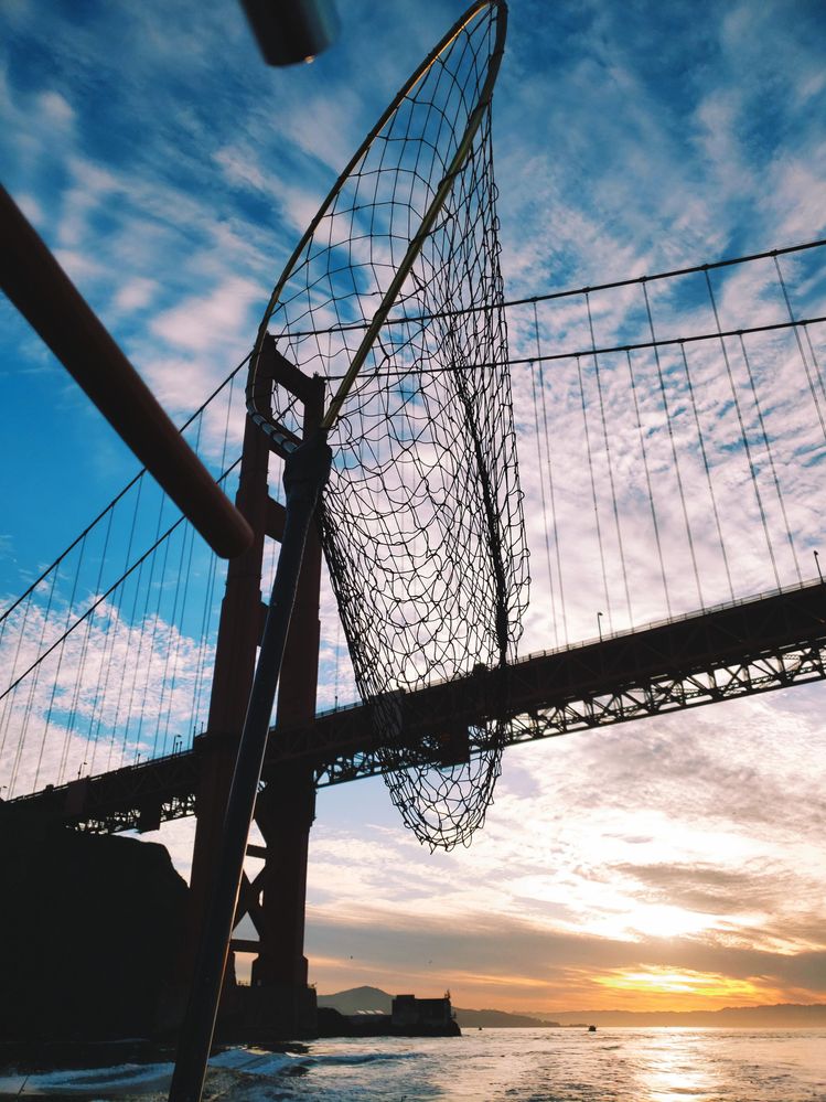 Golden Gate Bridge during salmon fishing trip.