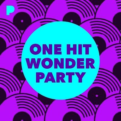 OneHitWonderParty.jpg OneHitWonderParty.jpg