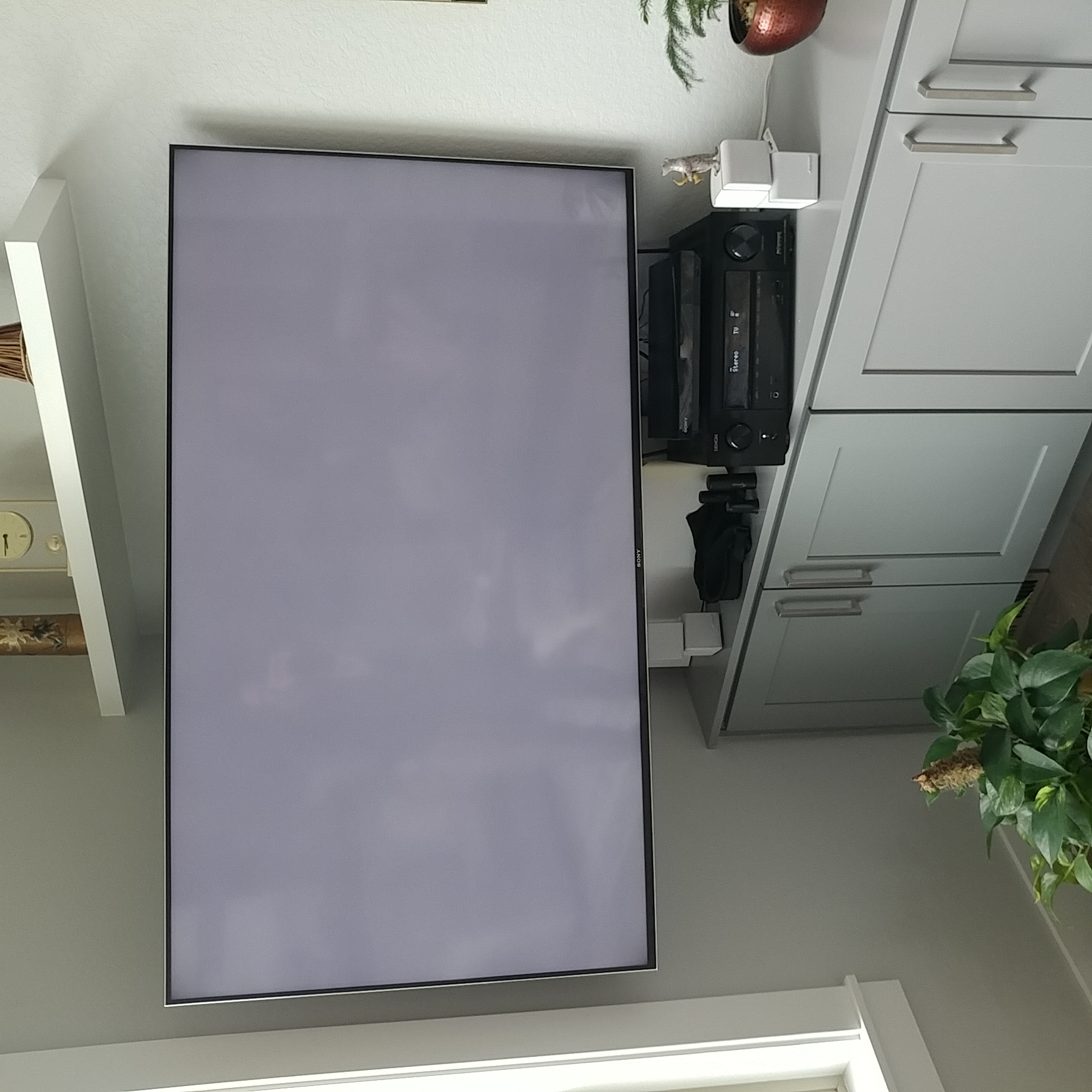 Android TV Sony Pandora Unable to Load Pandora Community