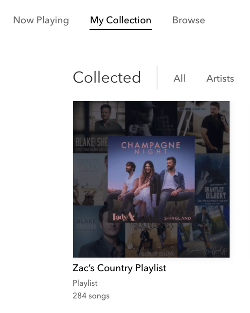 Screen Shot 2021-01-06 at 2.15.31 PM.png