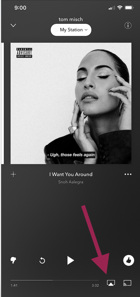 Screen Shot 2021-01-21 at 9.02.40 AM.png