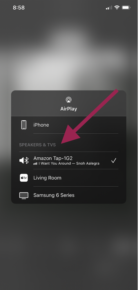 Screen Shot 2021-01-21 at 9.02.49 AM.png