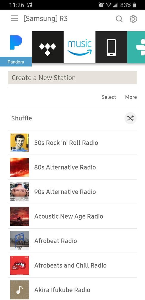 Only Stations no Albums or Artists