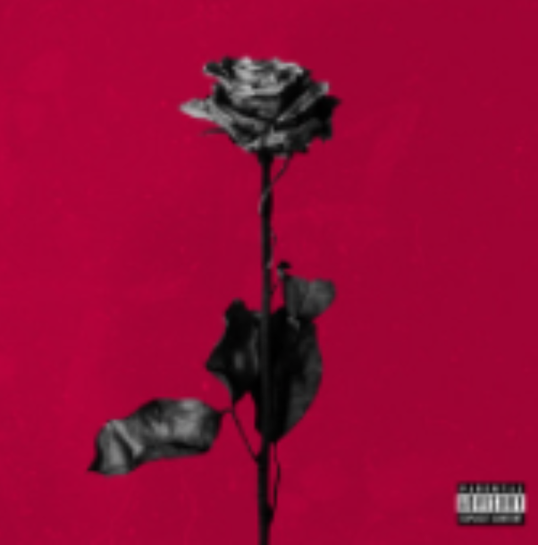 Screenshot 2022-03-01 11.38.27 AM.png