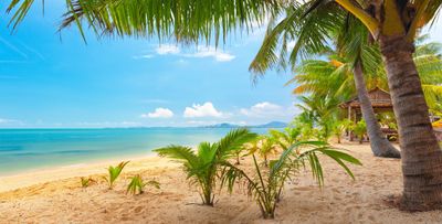 sand_sea_sky_palm_trees_nature_tropical_landscape_beautiful_5000x2532.jpg
