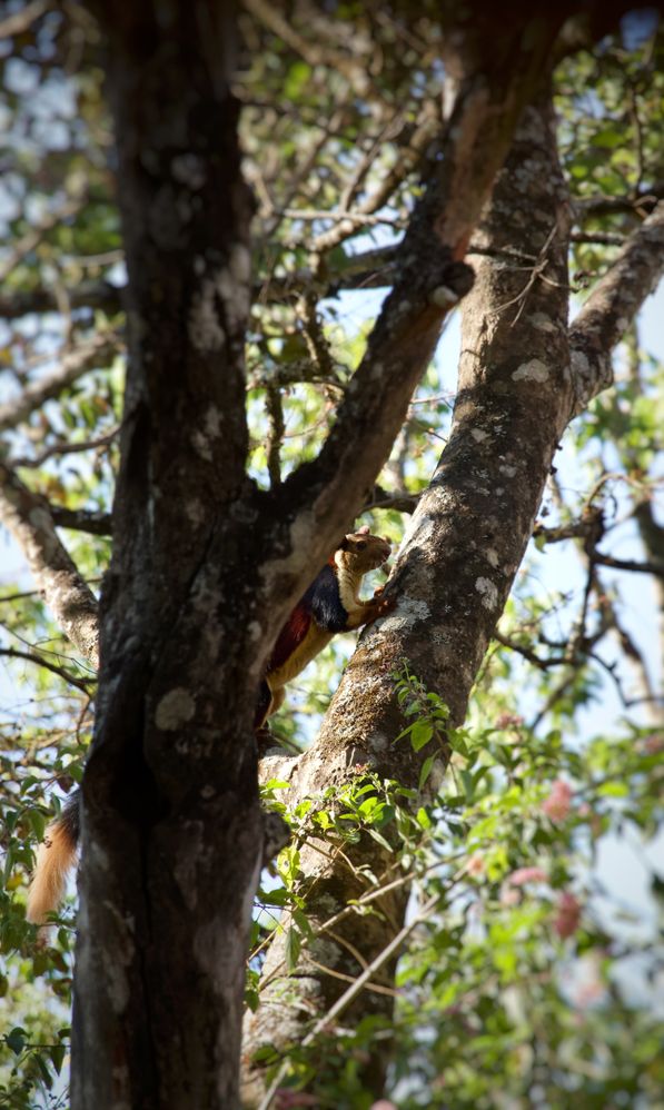 FullSizeRender (3).jpg