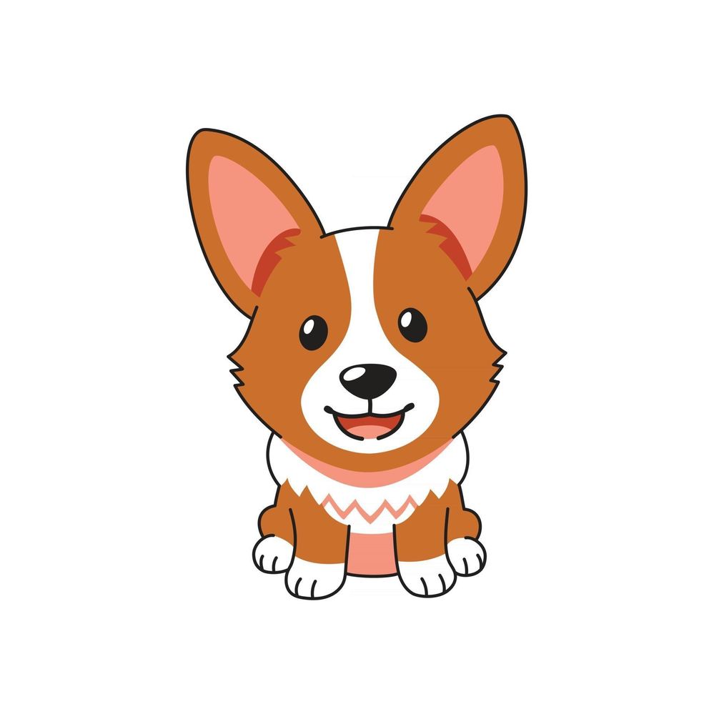 Corgi Toon Front.jpg