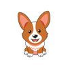 Corgi Toon Front.jpg