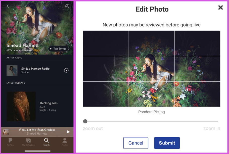 The Edit Photo Tool for Header Images in Sinéad Harnett's artist profile in AMP