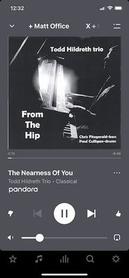 example from Sonos app.jpeg